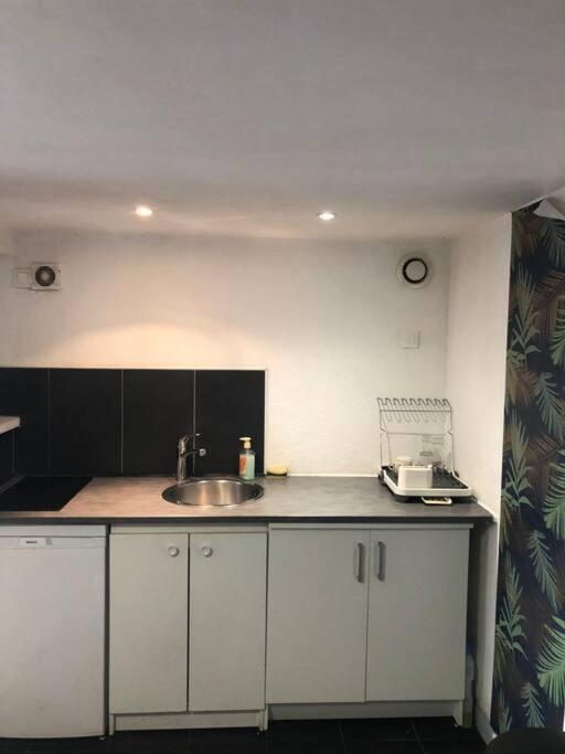 Logement Appartement Bourget Λε Μπουρζέ Εξωτερικό φωτογραφία